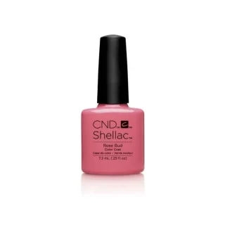 shellac-nail-polish-rose-bud.webp